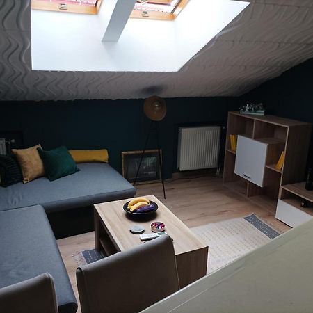 Ram1 Apartment โนวีซาด ภายนอก รูปภาพ